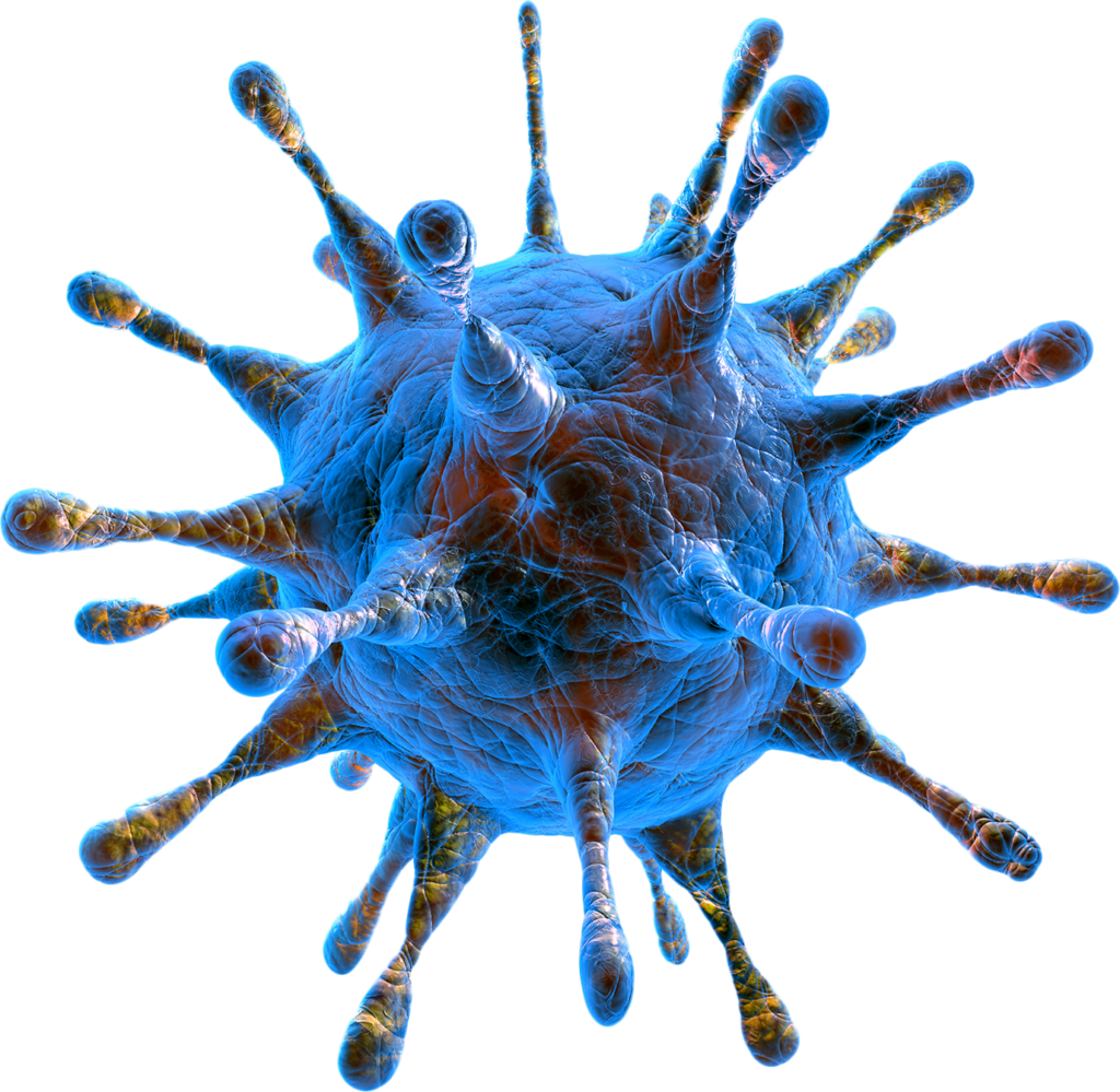 cancer cell model The Oral Surgery Group